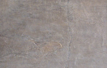 Snake skin grey