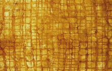 Snake skin with gold